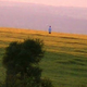 Illustration for article titled "I Touched A Crop-Circle-Making UFO," Says Investigator